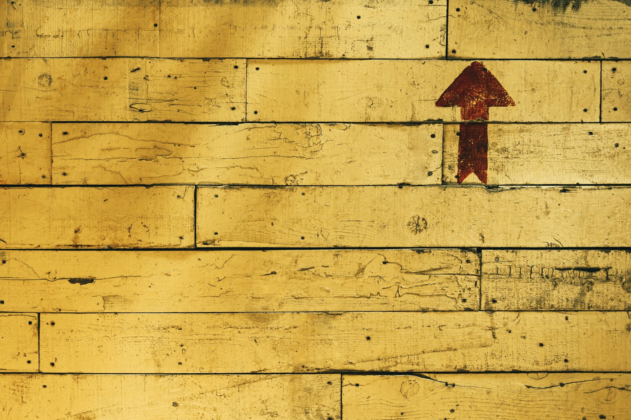 CoLab for Kids to cease at the end of the year, work to continue under Minderoo banner