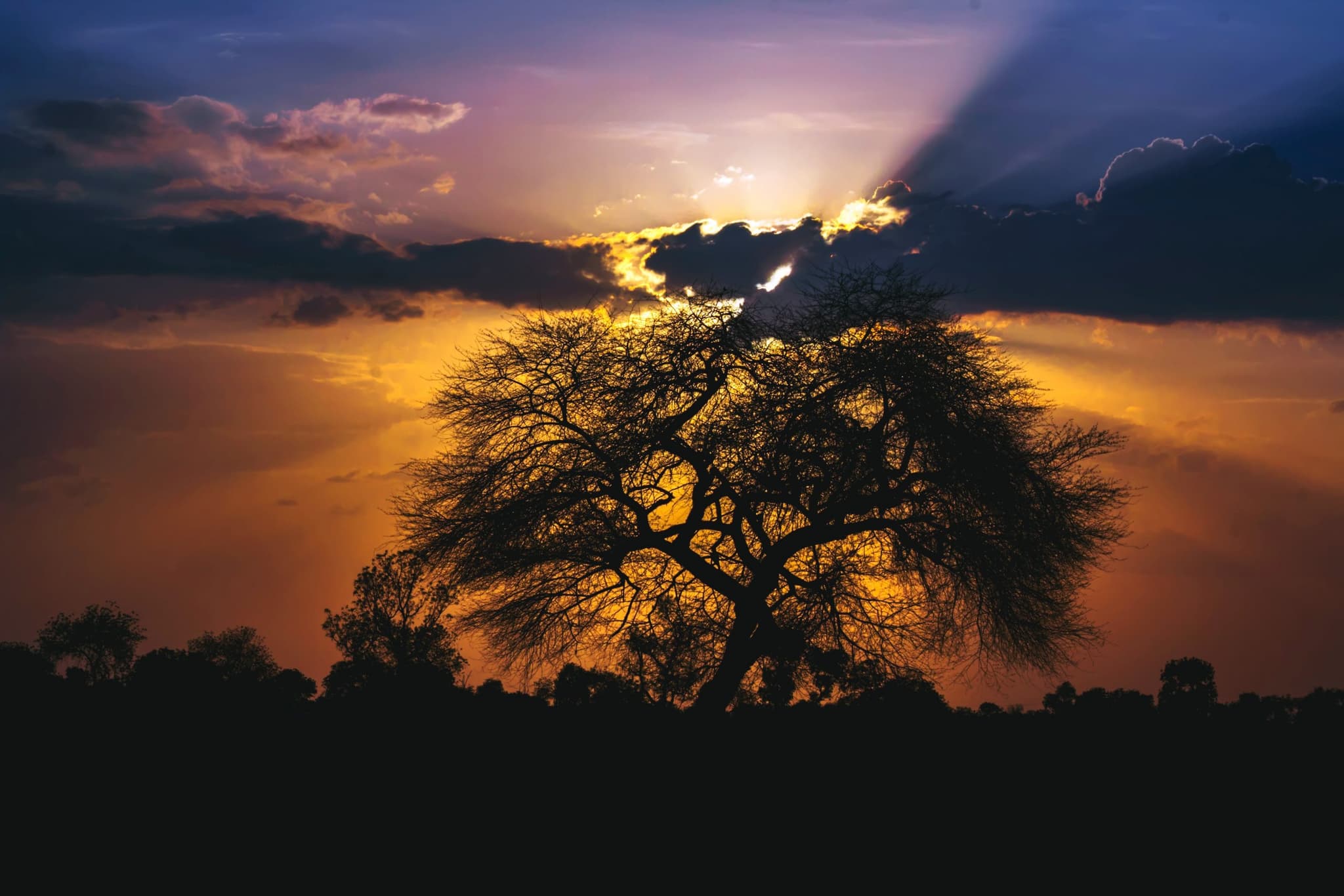 Preparation for bushfire season – is your ECEC service ready?