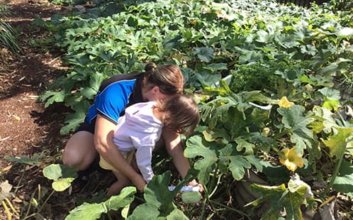 WSUEL Penrith wins Toddle green award recognising sustainability practices