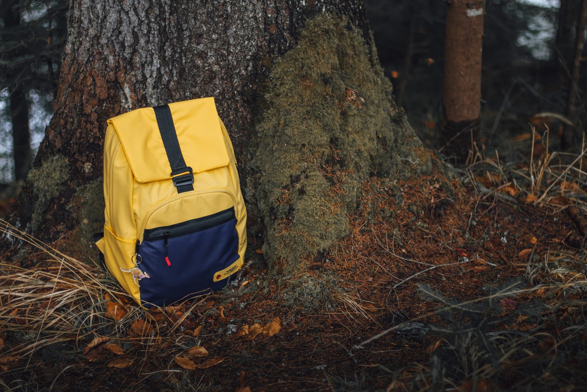 NSW Department of Education pursued historic case of young child left on bus