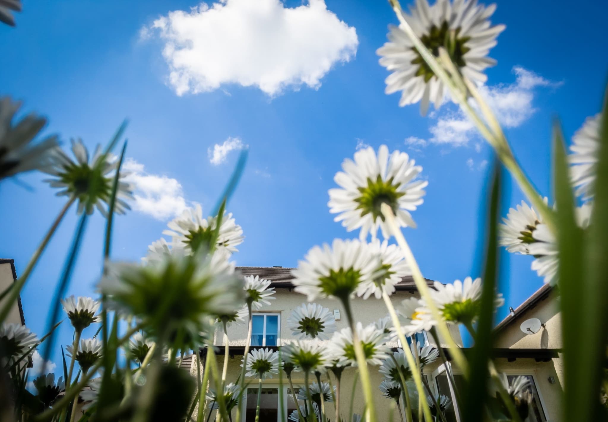 DESE updates confirm Guide to ACCS changes, session cut off date and CCCF funds