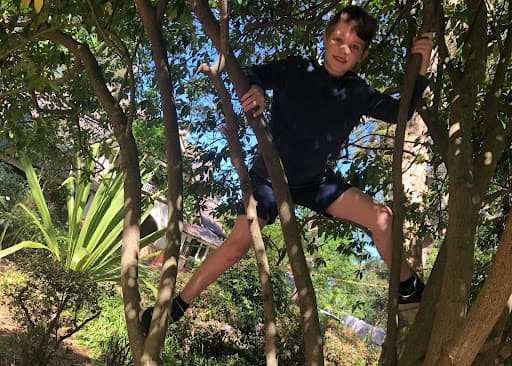 Blue Gum Community School wants to reimagine education, starting young