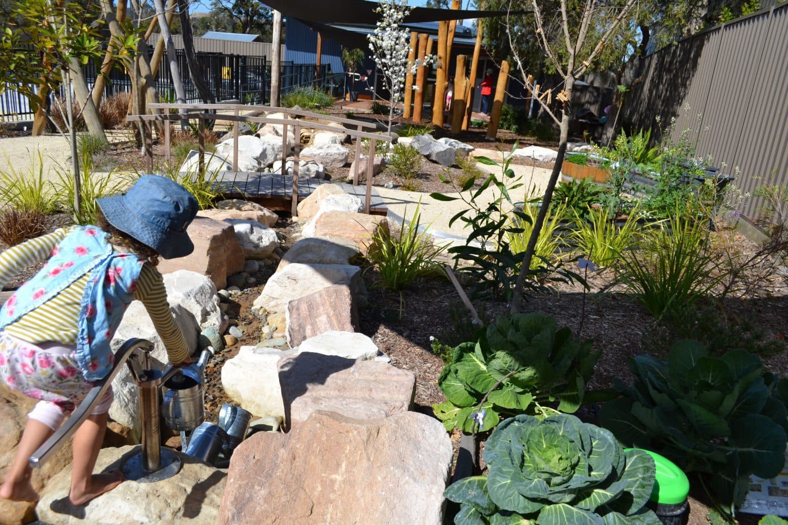 Sustainable Play Preschool wins Launch of the Year Award in PETA Vegan Awards 2021