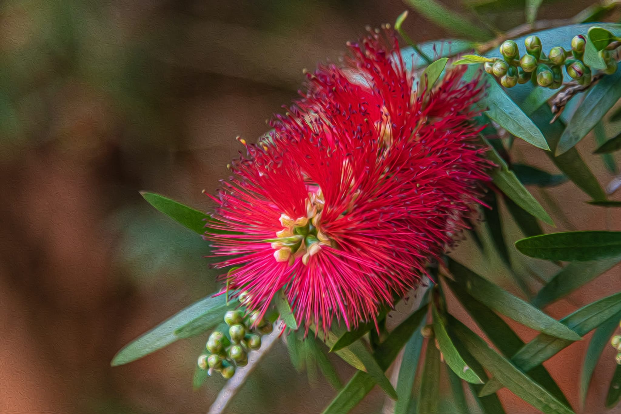 Bush preschool helps Gilgandra children to be imaginative problem solvers