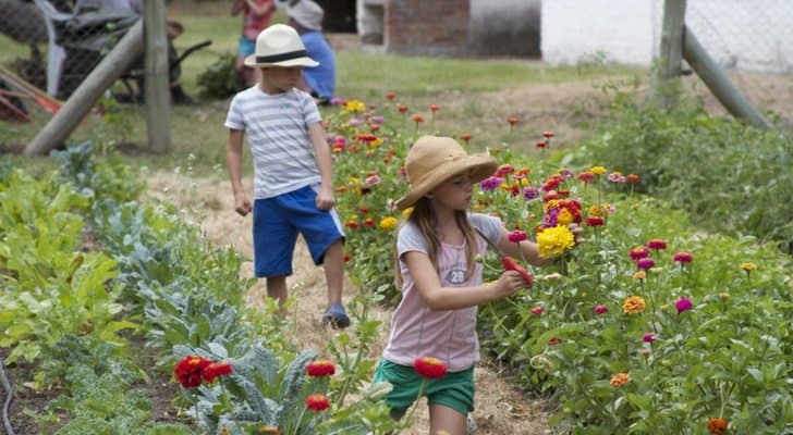 National Volunteer Week offers a chance to say thank you to amazing volunteers