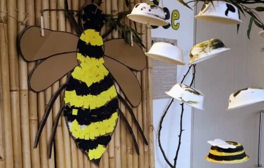 Children’s curiosity and wonder leads one educator to become an expert in bees