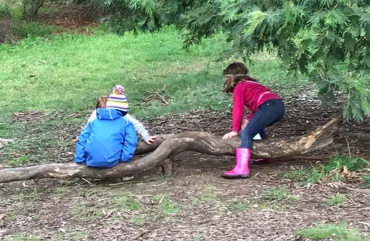 Bush Kinder turns nature novices into eco-experts