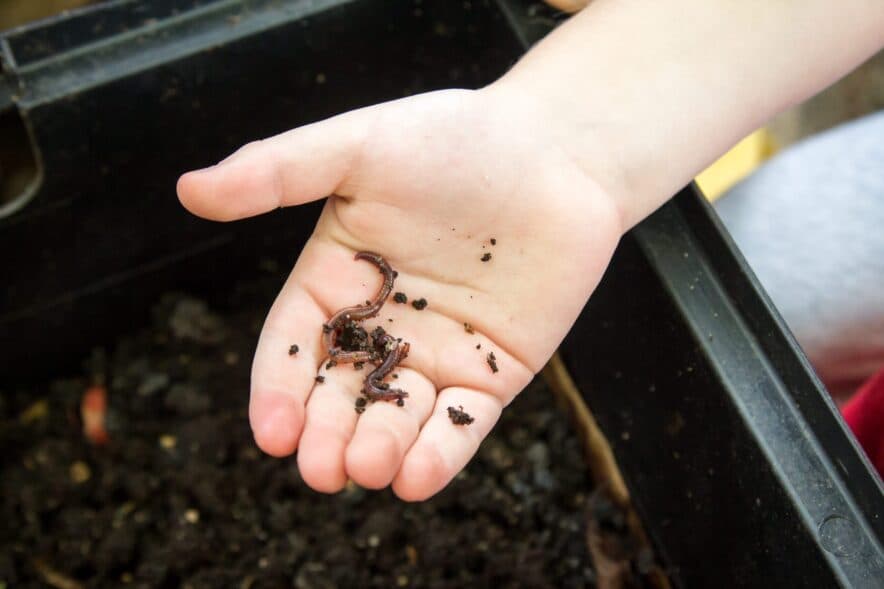 Here’s cheers to 50 years: Whittlesea Pre-School celebrates 50-year anniversary