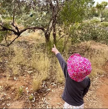 ECEC Provider in Focus: Alice Springs Family Day Care