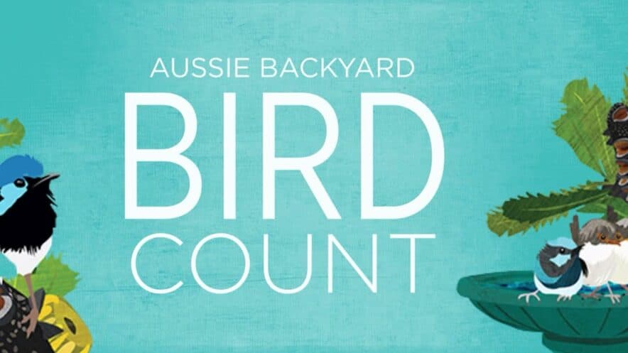 Aussie Bird Count: how to help the children in your care become citizen scientists