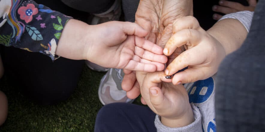 Flagship research launched by The Front Project