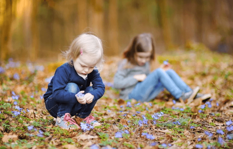 What are bush kinders? And what makes a good one?