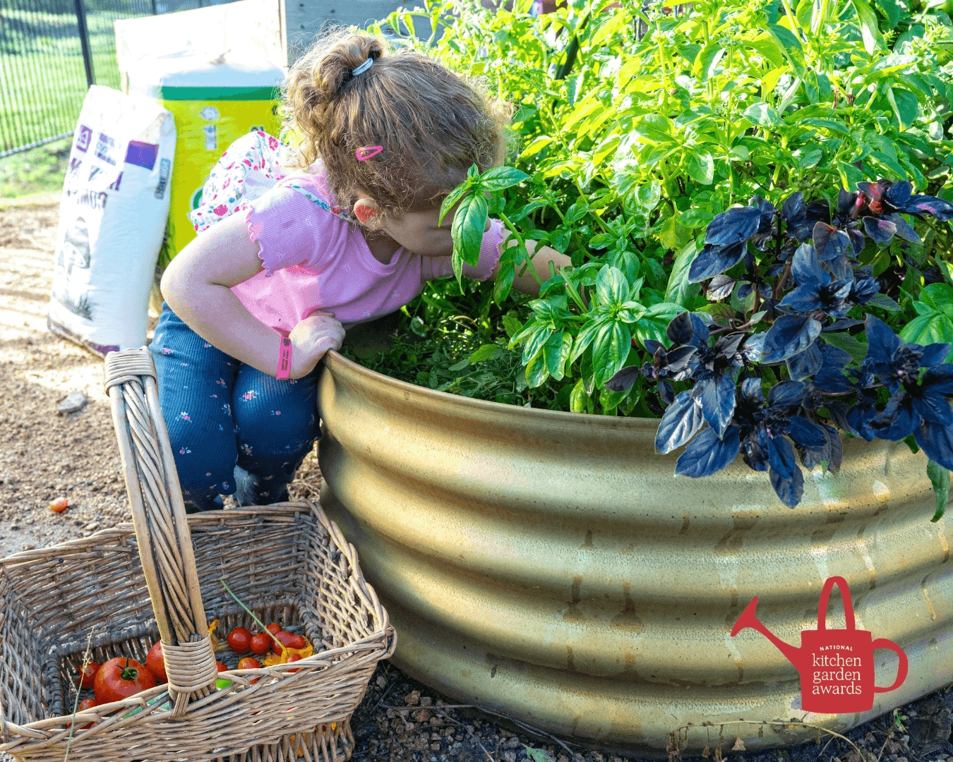 National Kitchen Garden Awards return for third year