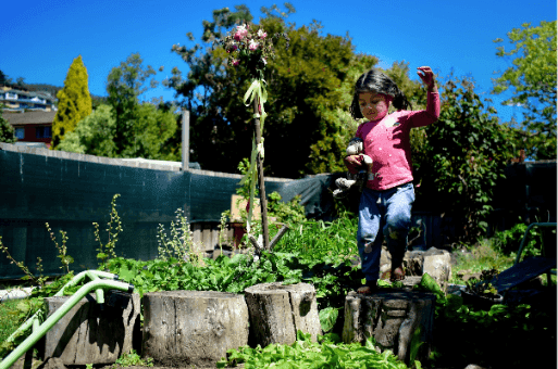 Tasmania’s regulator confirms family day care restrictions are policy choice, not law