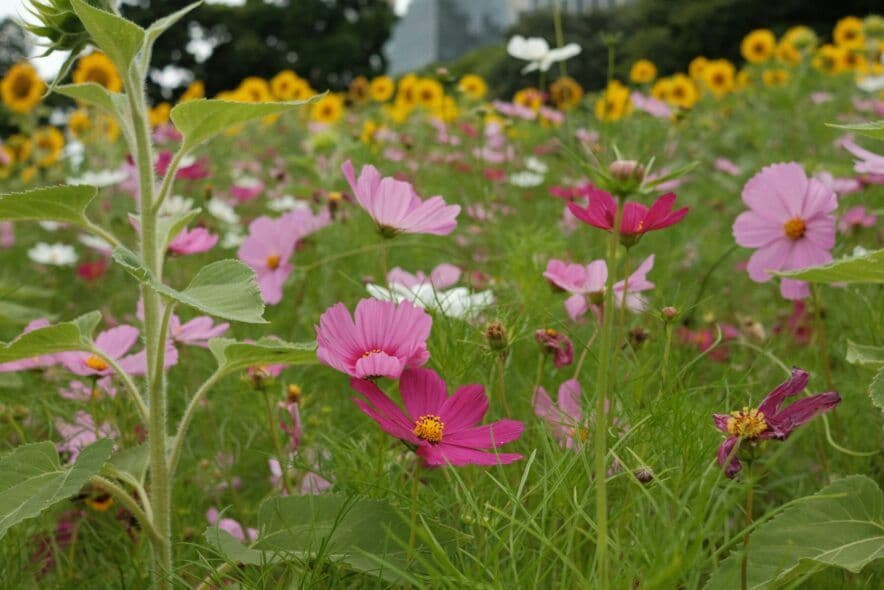 REED to take on management of early learning settings in the Shire of Ravensthorpe