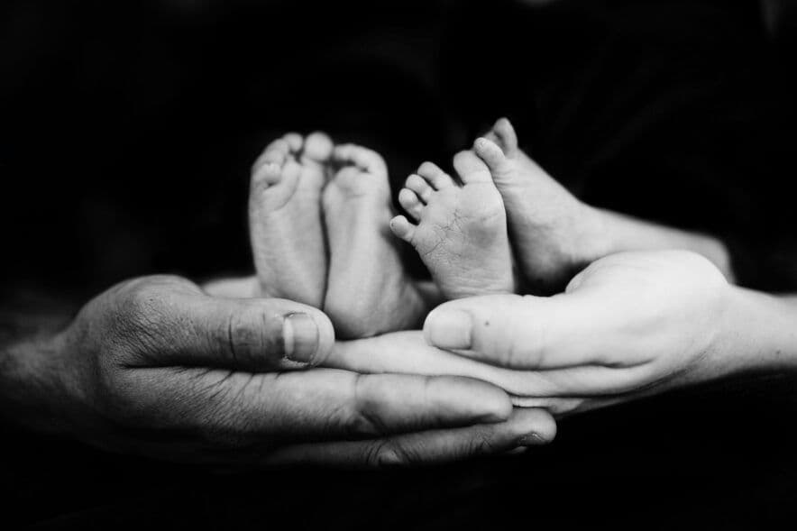 Fertility in free fall: The new data ECEC needs to note