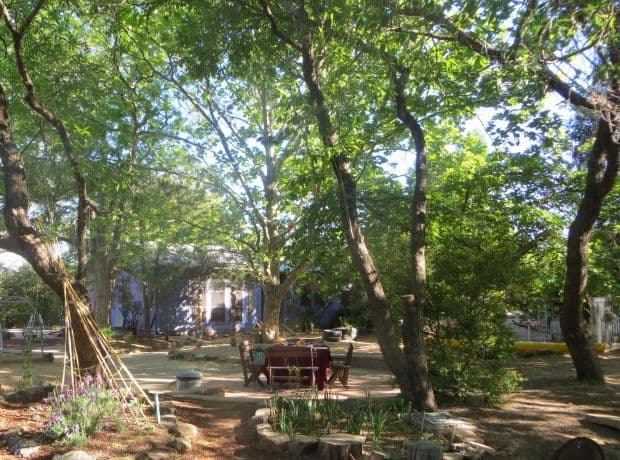 ECEC Provider in Focus: Blue Gum Community School