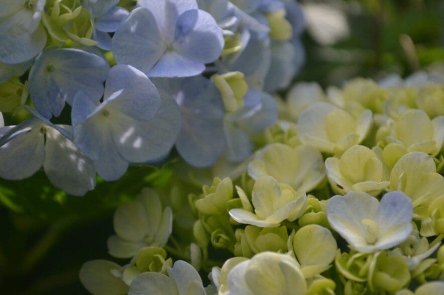 Funding to boost regional ECEC in WA