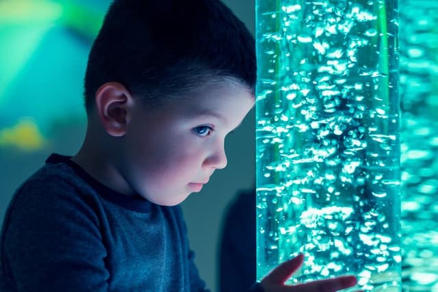 From study tips to everyday practice: supporting children with ADHD in ECEC