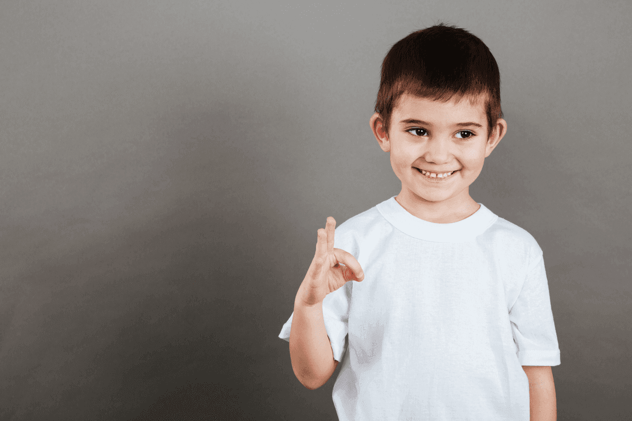 Bluey to introduce Auslan episodes after parent-led campaign for accessible children’s media