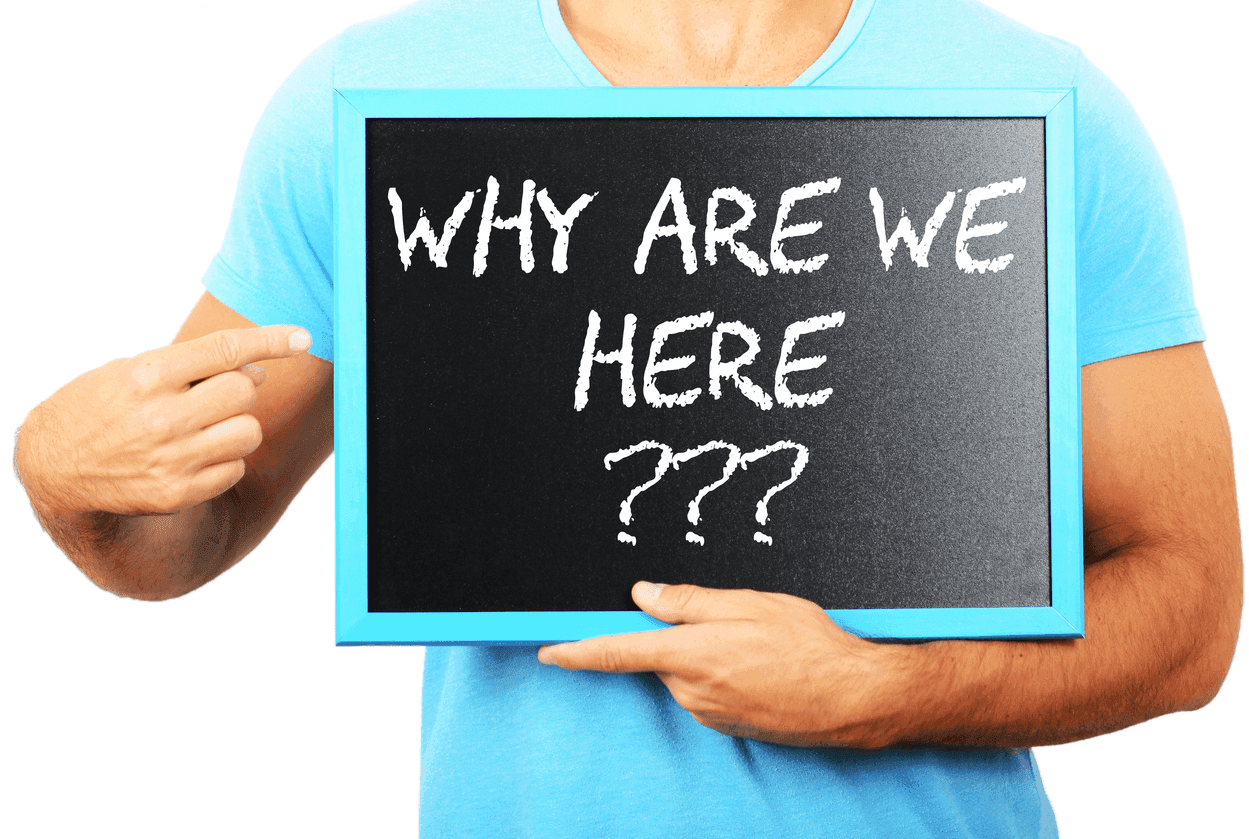 Why playful educators matter more than ever: an ECEC perspective