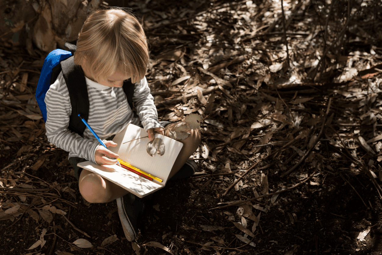 The rise of nature‑based pedagogy: what services need to know