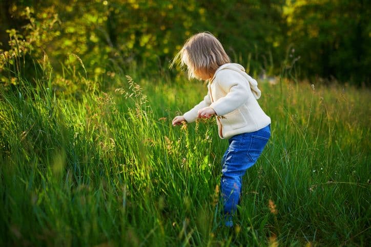 Havilah Road Preschool introduces Bush Kinder, boosts unstructured learning