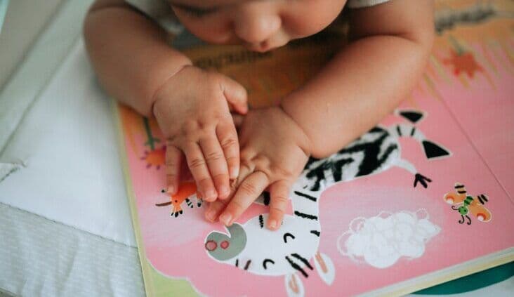 Daniela Kavoukas appointed CEO to lead CCC into a new chapter