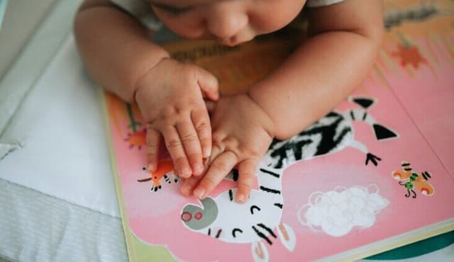 Daniela Kavoukas appointed CEO to lead CCC into a new chapter