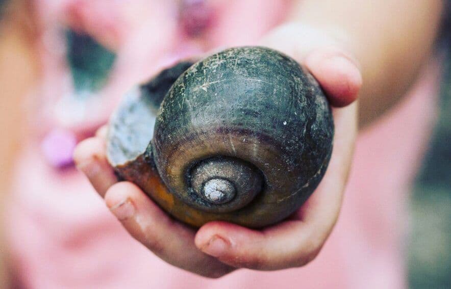 As AEDC information is collected new research into struggling on school entry is out