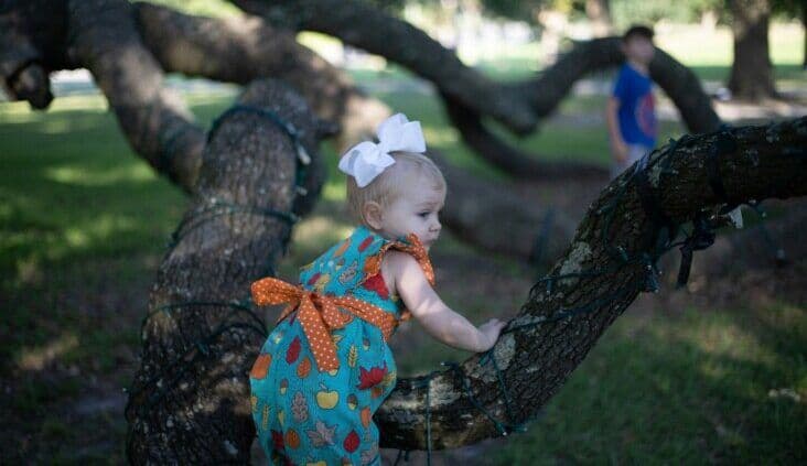 Understanding ACECQA’s National Decision Tree: guidance for approved providers, persons with management control and educators