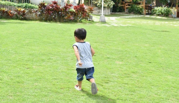 Pilot trial finds new sustainment strategy shows promise for supporting long-term active play in ECEC services