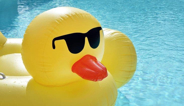 Bringing calm, connection and confidence to summer OSHC