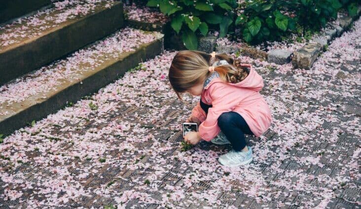 We built a playground for perpetrators: Here’s how to stop them