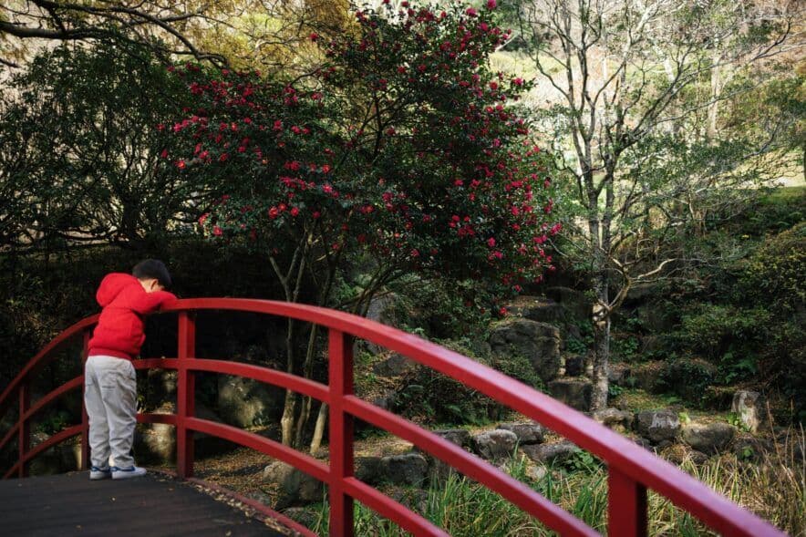 Bookworms reach remarkable milestone with Snowy Monaro Regional Library program