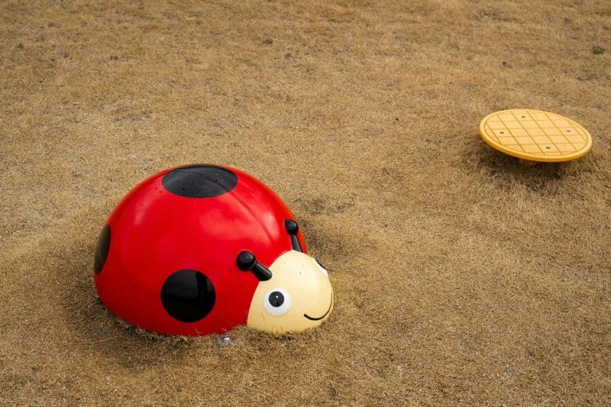 Support available for ECTs to help complete prac placements