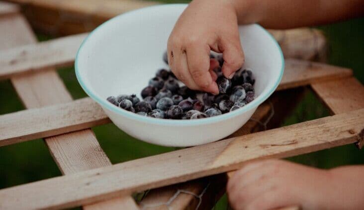 Nourishing nutrition in early childhood education and care
