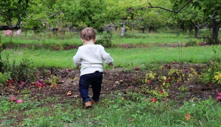 Risky play is not a dirty word: A tool to measure benefit–risk in outdoor playgrounds and educational settings