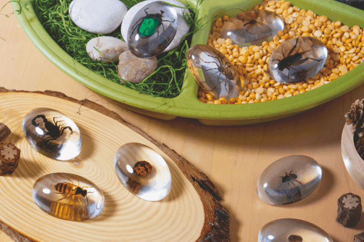 Exploring Mini Beasts with MTA’s interactive panel – and lots more!