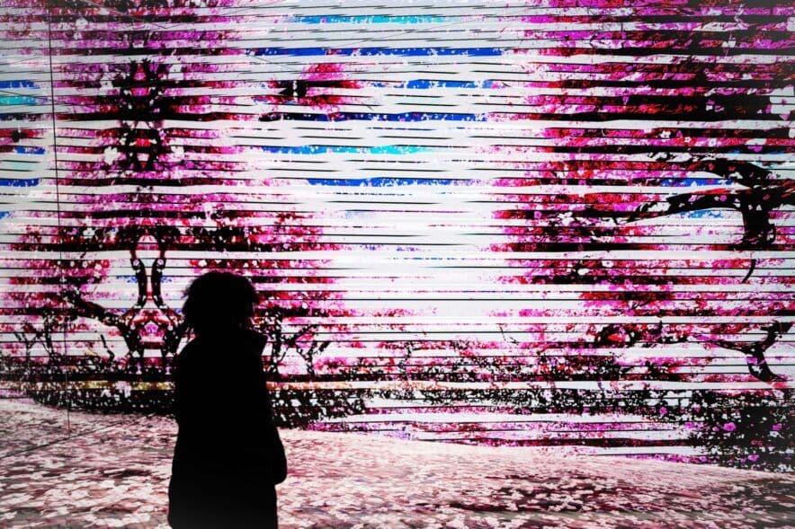 ‘A one stop shop’ to educate and safeguard children launched by ACU