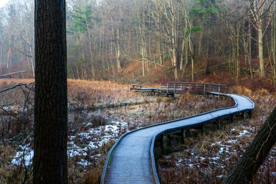 Legislation underpinning 15% pay rise passes through Parliament