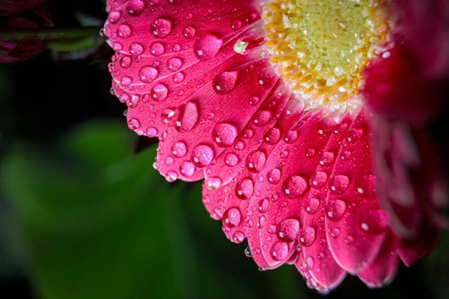 Proposed Gisborne centre raises concerns about loss of amenity for residents