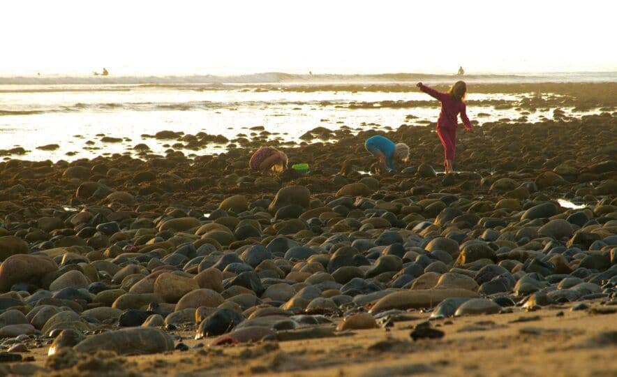 Don’t just survive, thrive: how to beat the back-to-work blues