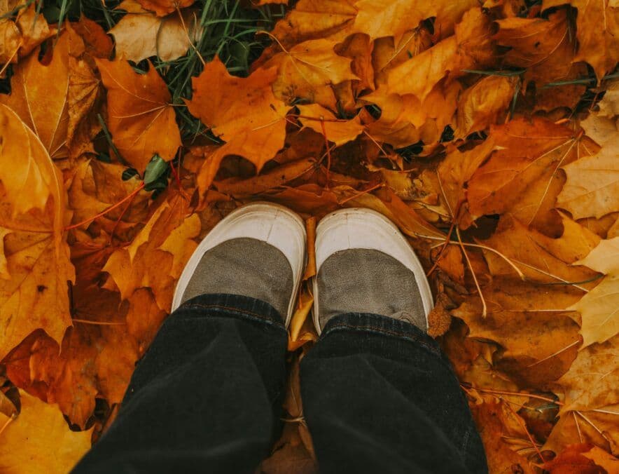 UTSCC unleashes professional learning with innovative new approach