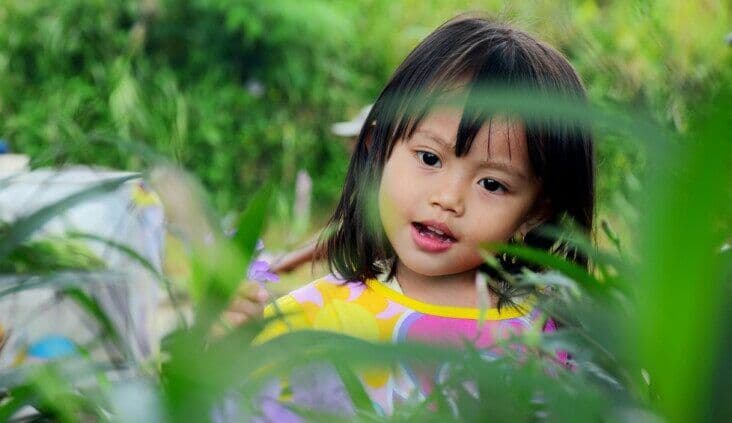 Updated enforcement action and new infringement notices registers released