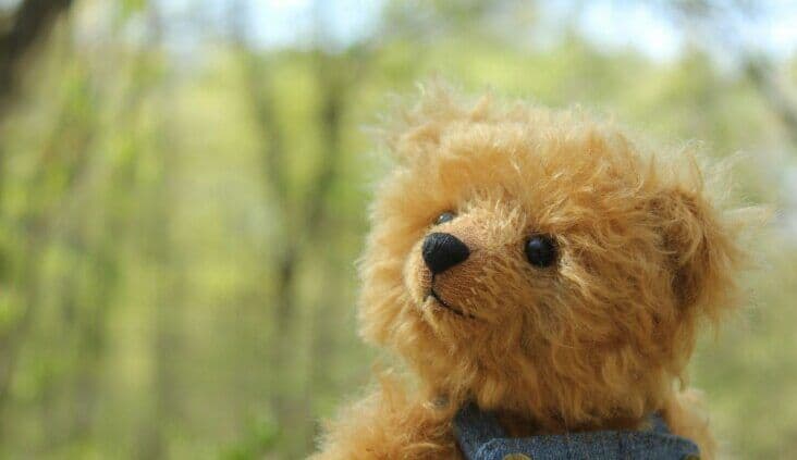 Remembering Donald Macdonald: Founding Play School presenter who helped shape Australian early learning