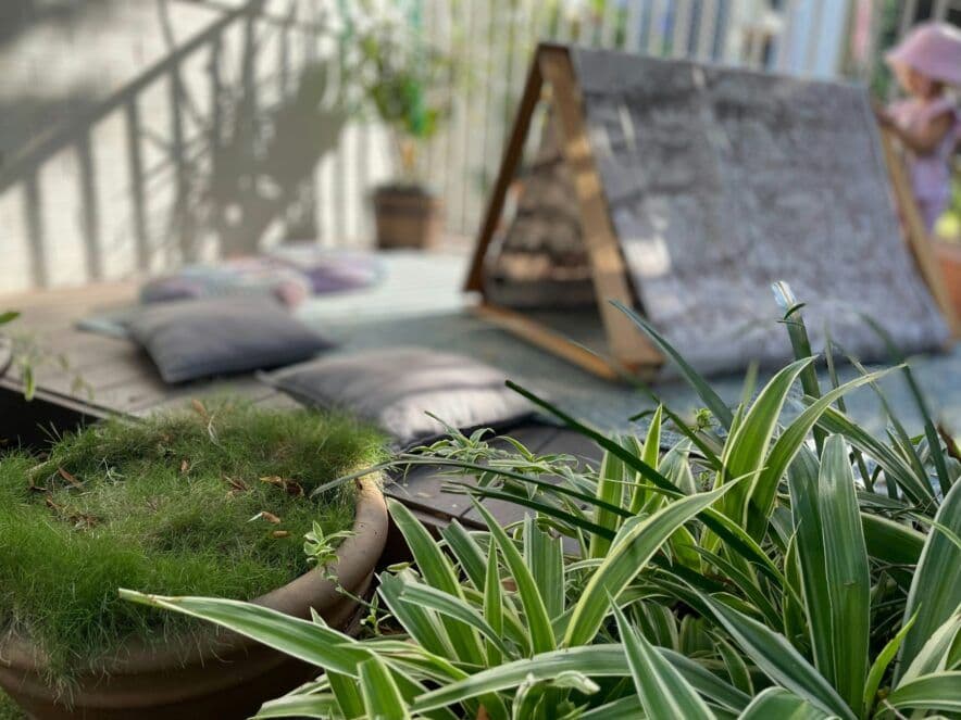 Brad wants more men to join him in ECEC