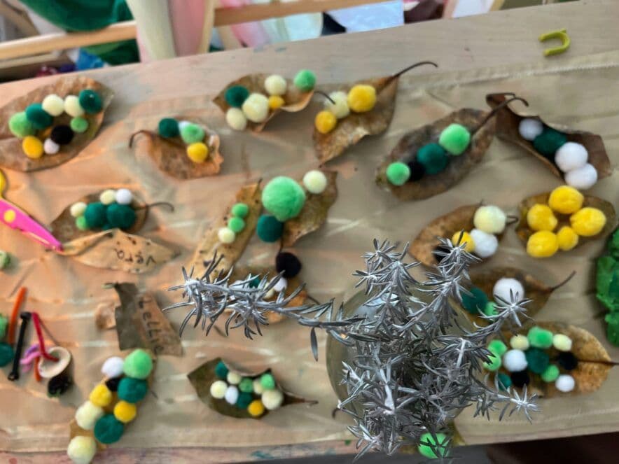 NSW Health warns about cryptosporidiosis increase, calling for greater care