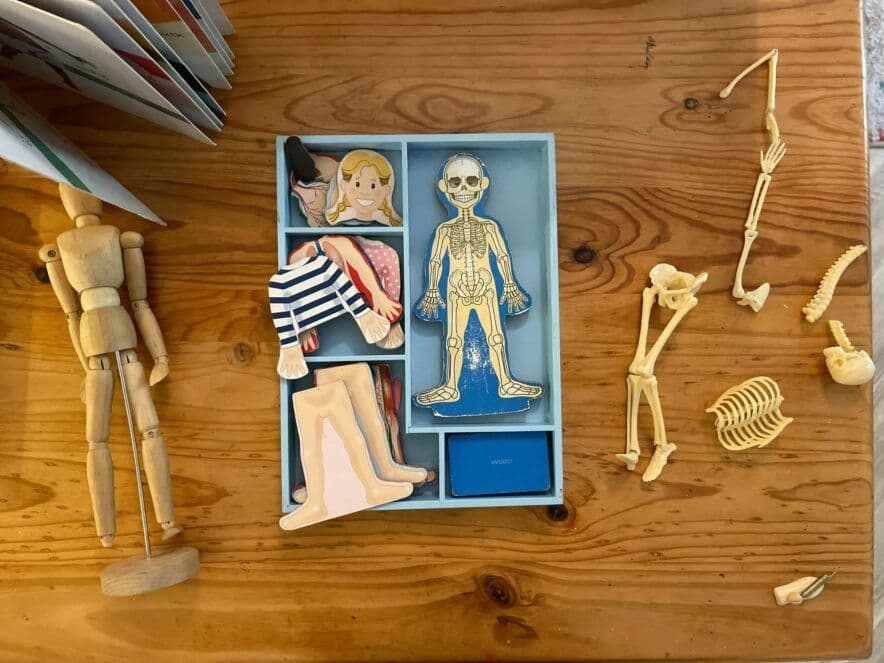 NSW Regulatory Authority issues guidance on AI in early learning