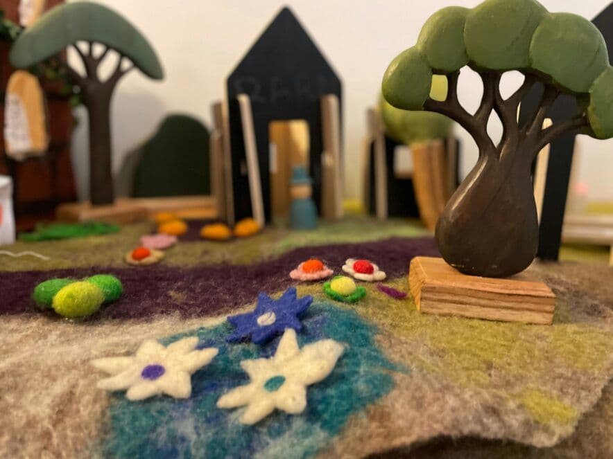 Advocates call for a slow down in ECE regulation changes in New Zealand